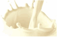 milk 2